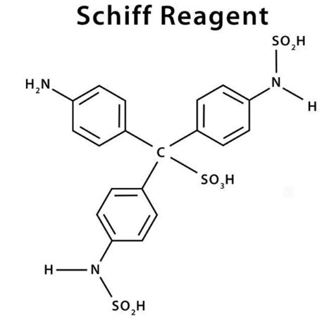 Notes on Schiff Reagent and Test .